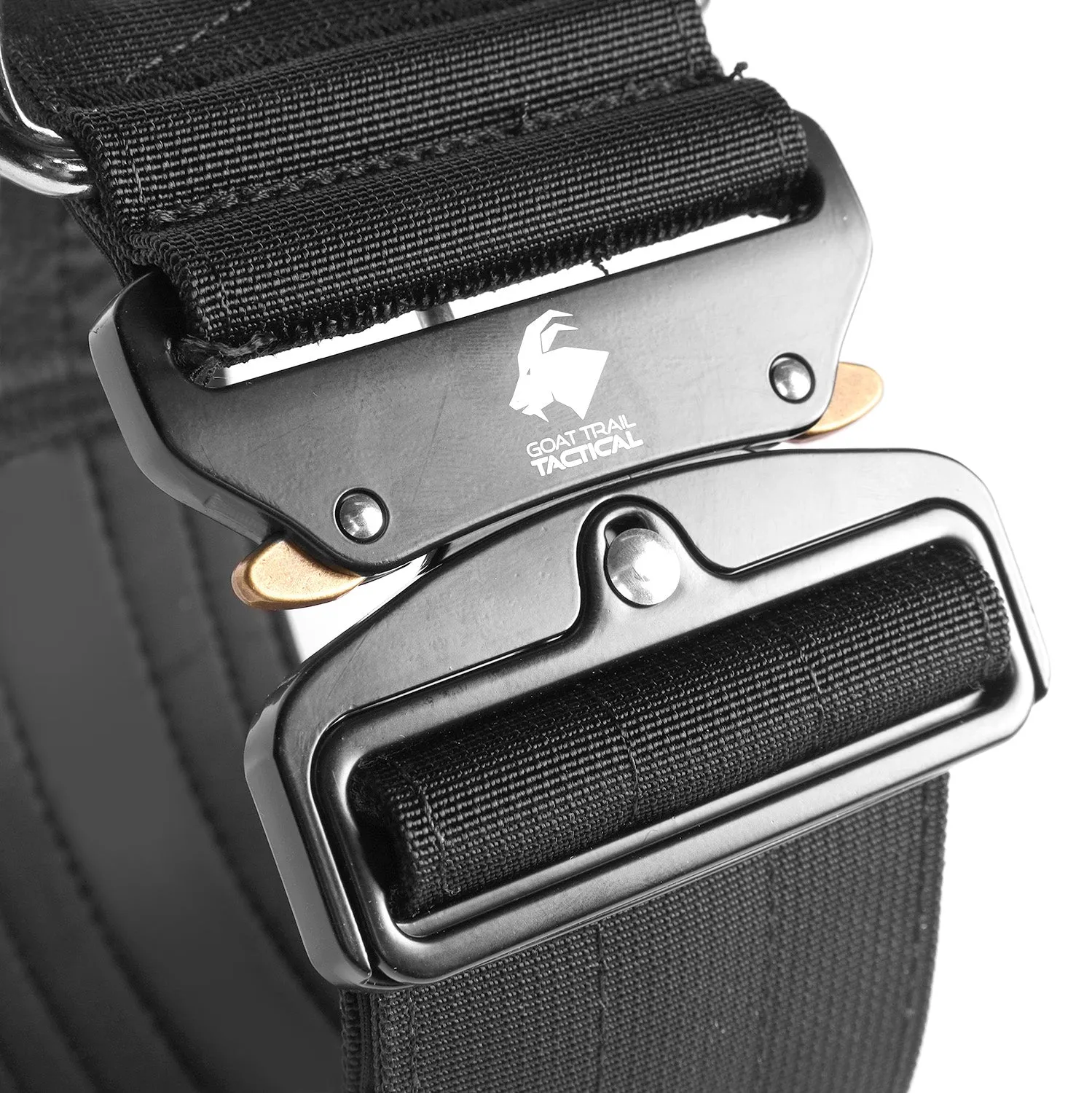 3 inch GTT Direbeast Tactical dog collar | Large- XX-Large Breeds