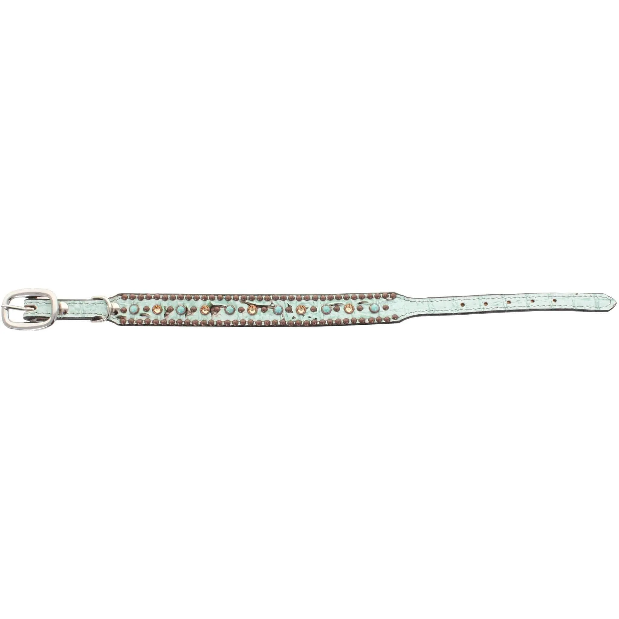 DC34 - Mint Chocolate Chip Dog Collar