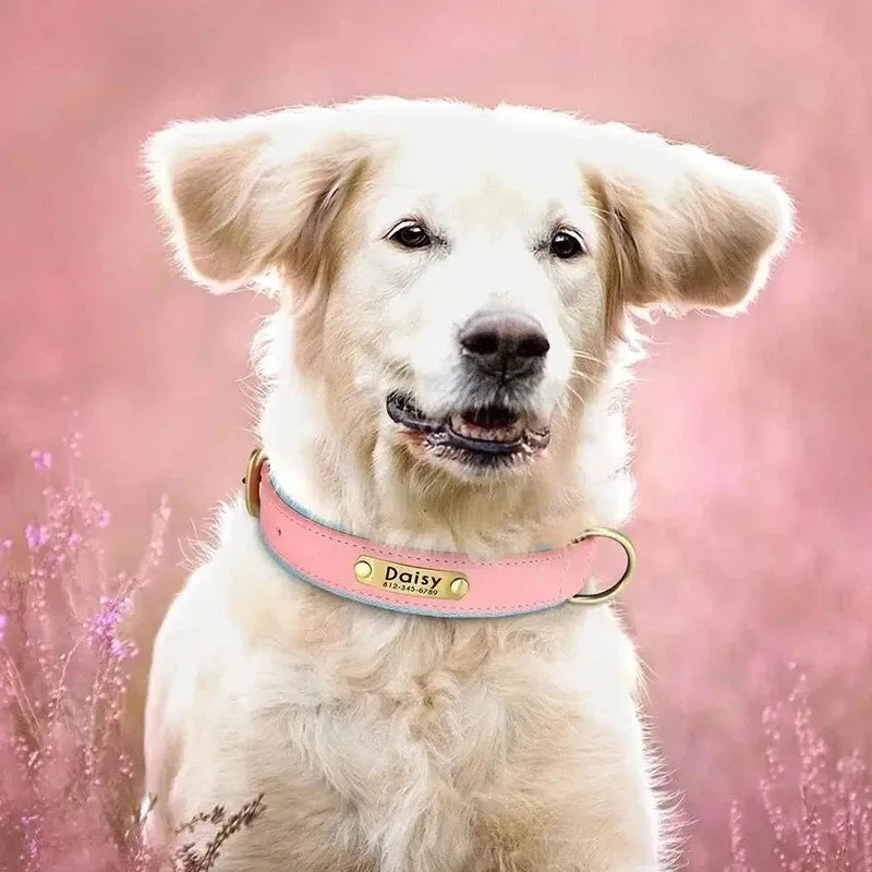 Personalized Leather Dog Collar