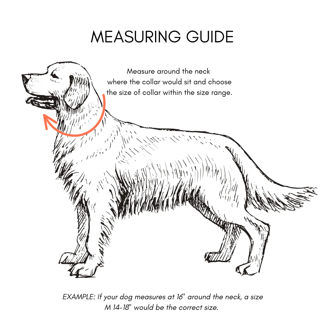 Walk By Good Boy - Biothane Collar - Sage