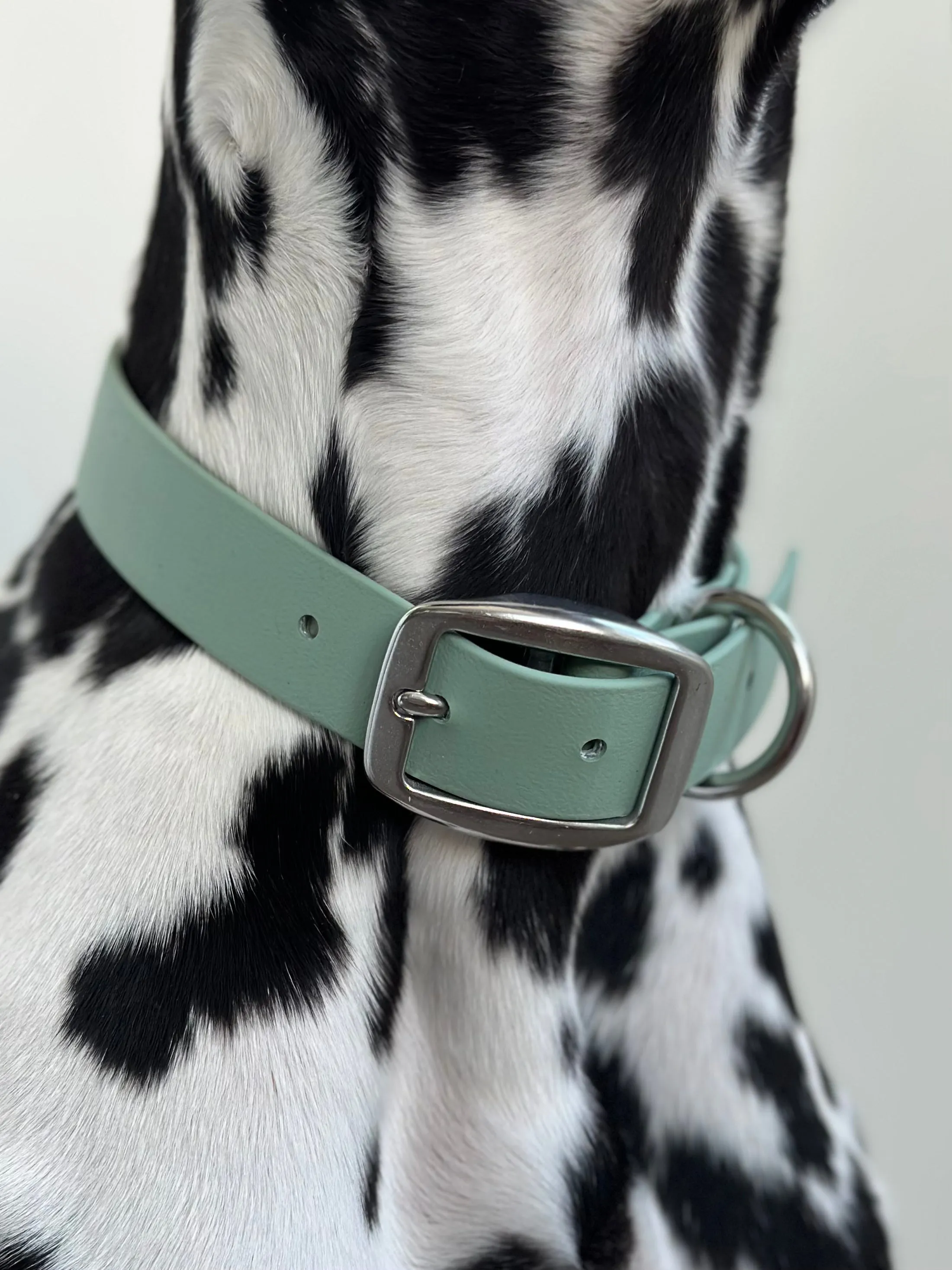 Walk By Good Boy - Biothane Collar - Sage